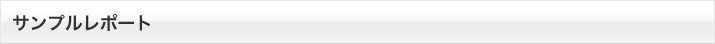 サンプルレポート